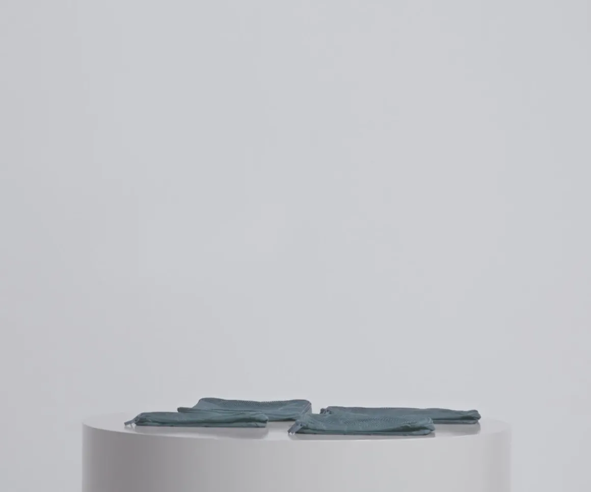 Insider Packing Cubes (Set of 4) in Coast Blue