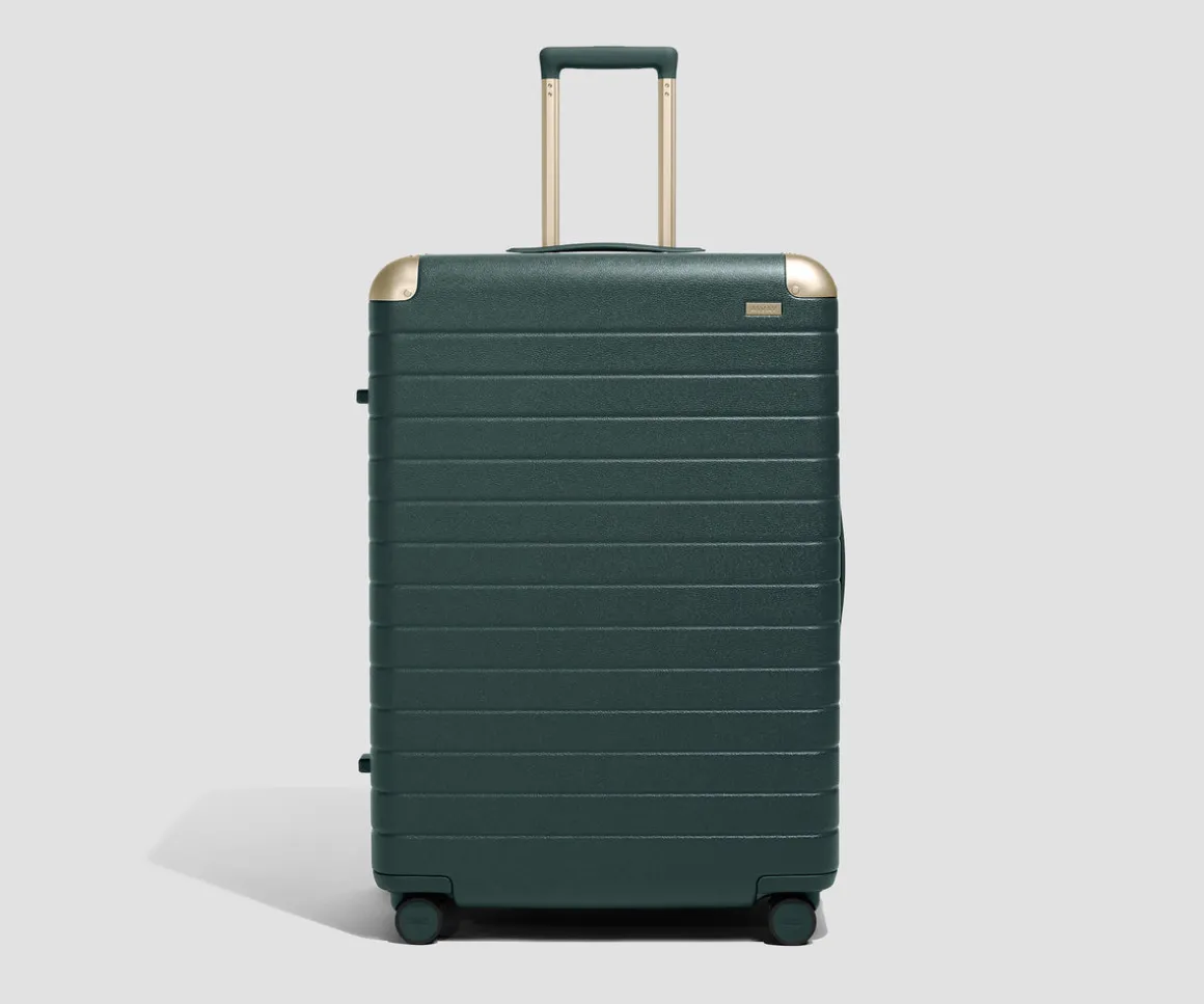 The Aluminum Edge Large in Ivy Green