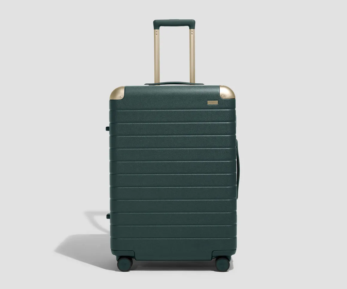 The Aluminum Edge Medium in Ivy Green