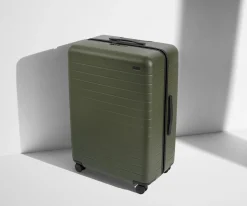 The Large in Olive Green