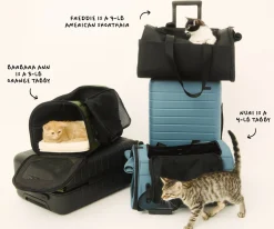 The Pet Carrier in Coast Blue