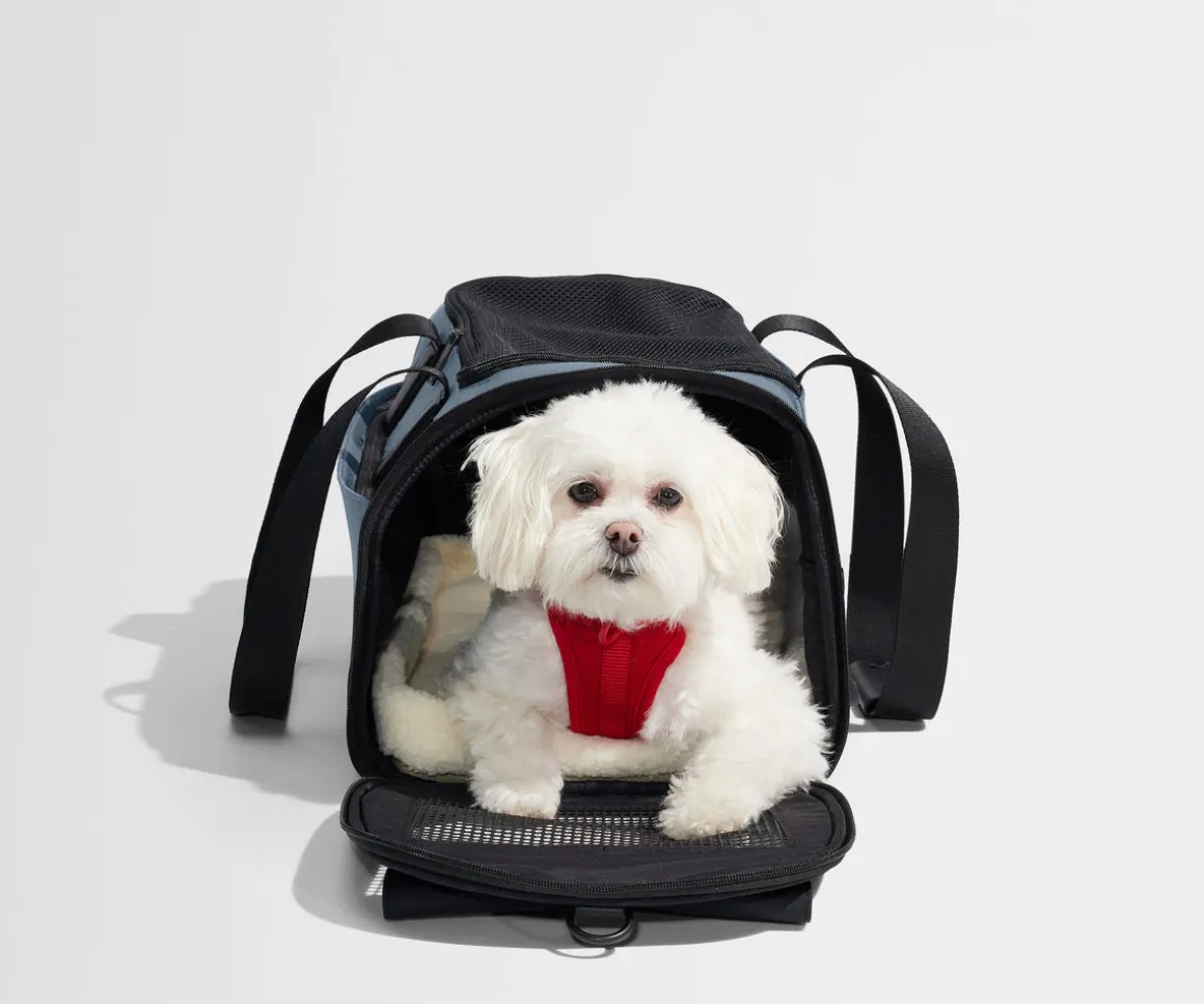 The Pet Carrier in Coast Blue