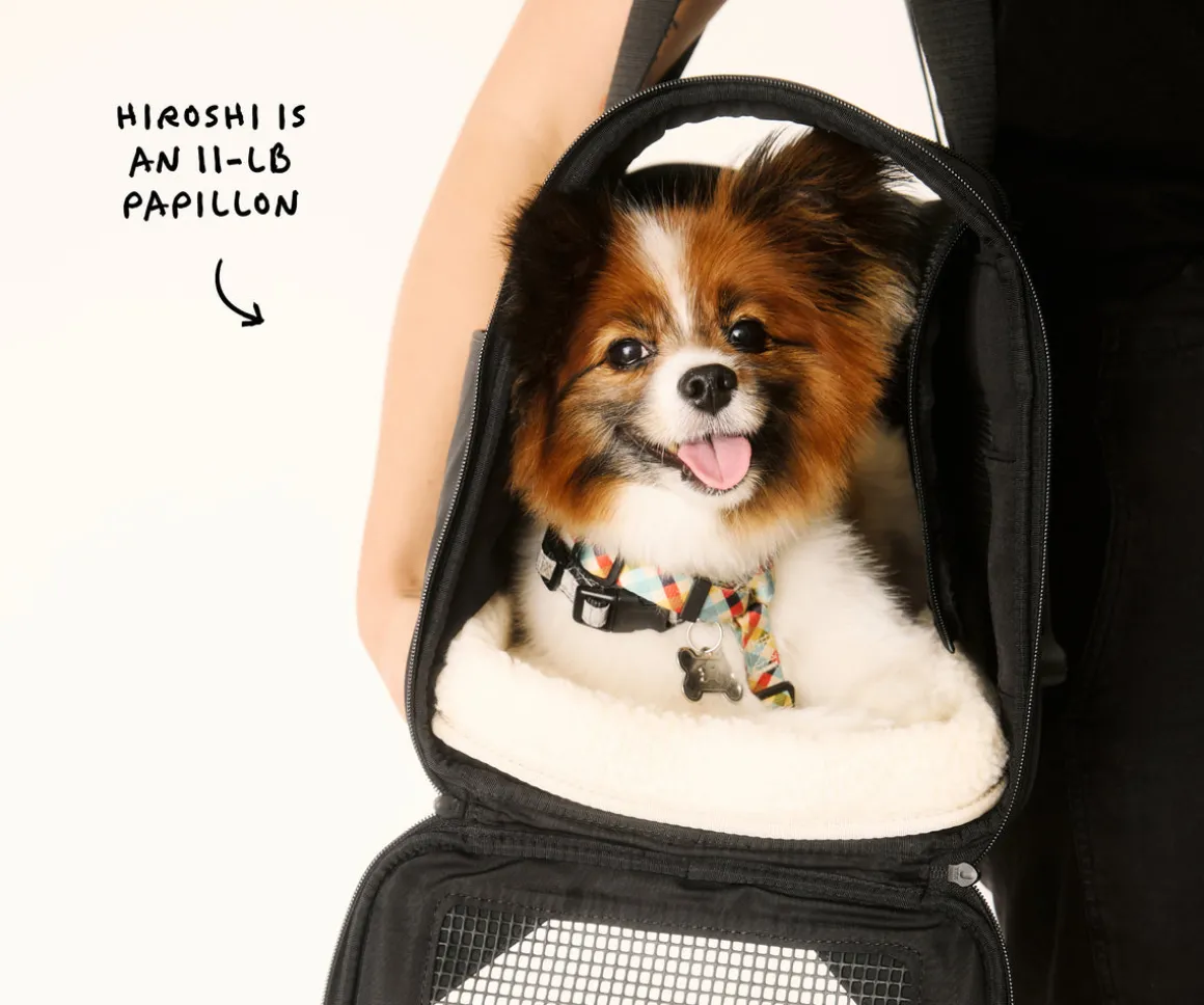 The Pet Carrier in Coast Blue