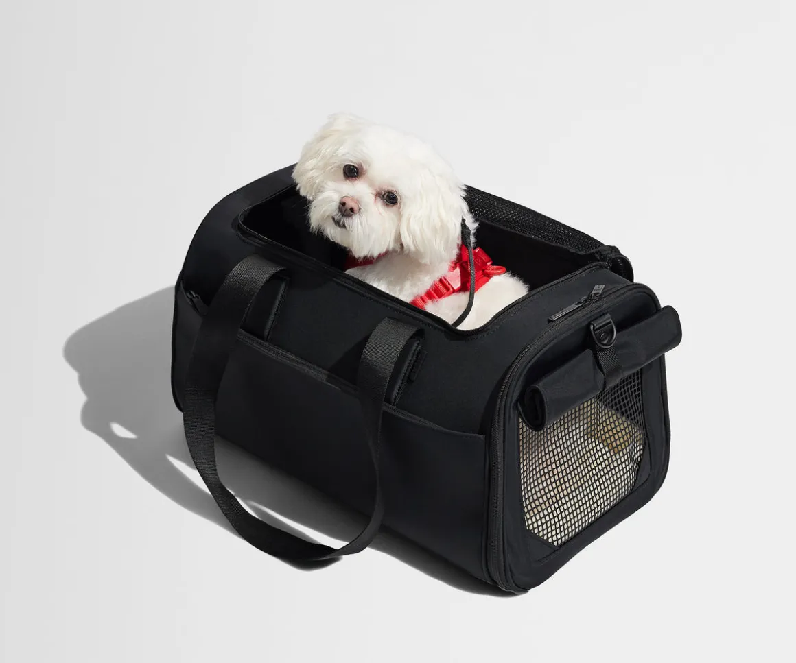 The Pet Carrier in Jet Black