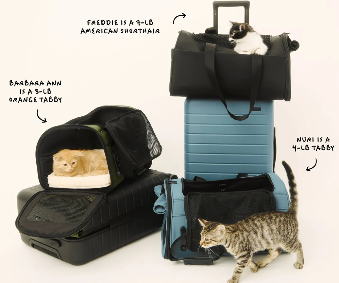 The Pet Carrier in Jet Black