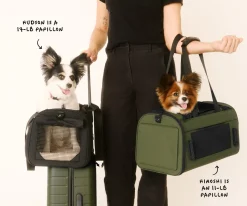 The Pet Carrier in Olive Green