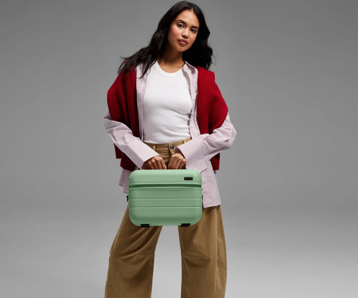 The Train Case in Sea Green