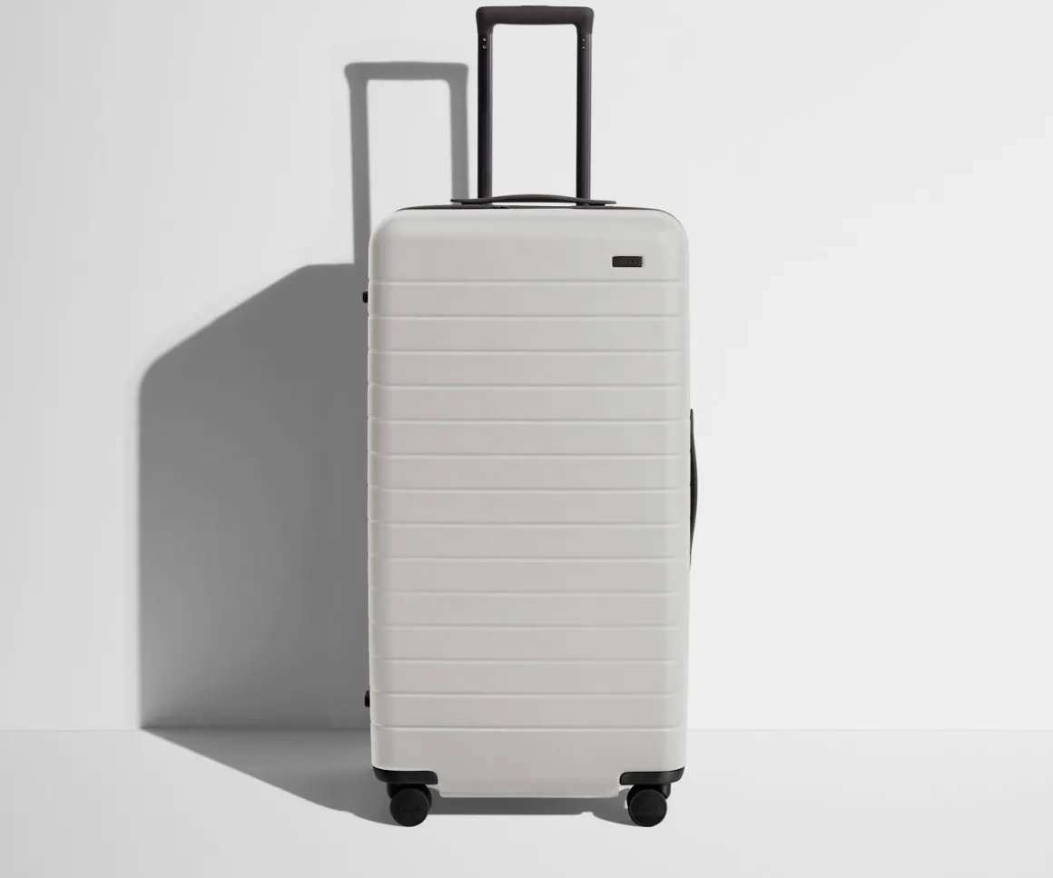 The Trunk in Cloud Gray