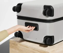 The Trunk in Cloud Gray