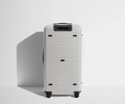 The Trunk in Cloud Gray
