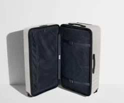 The Trunk in Cloud Gray